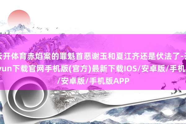 云开体育赤焰案的罪魁首恶谢玉和夏江齐还是伏法了-开云kaiyun下载官网手机版(官方)最新下载IOS/安卓版/手机版APP