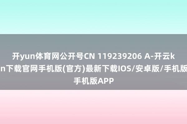 开yun体育网公开号CN 119239206 A-开云kai