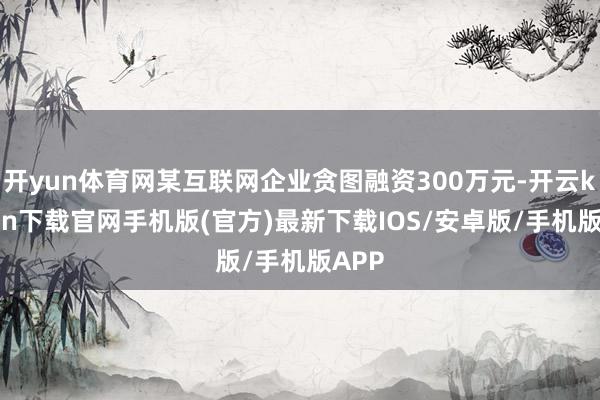 开yun体育网某互联网企业贪图融资300万元-开云kaiyu