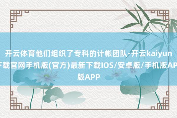 开云体育他们组织了专科的计帐团队-开云kaiyun下载官网手