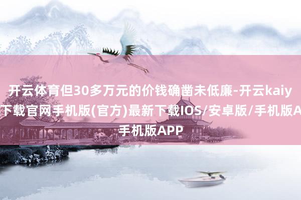 开云体育但30多万元的价钱确凿未低廉-开云kaiyun下载官