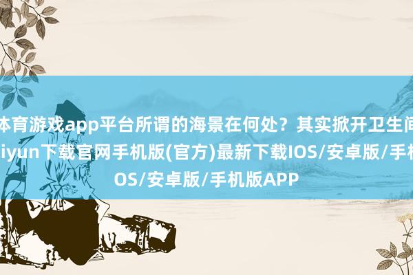 体育游戏app平台所谓的海景在何处？其实掀开卫生间-开云ka