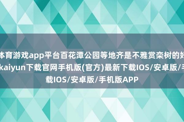 体育游戏app平台百花潭公园等地齐是不雅赏栾树的好地点-开云