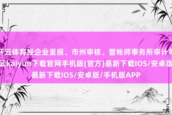开云体育经企业呈报、市州审核、管帐师事务所审计等关联才略-开